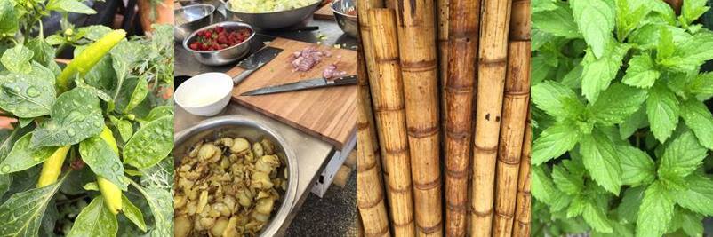 12112249_840627999385073_4243817628047158775_n